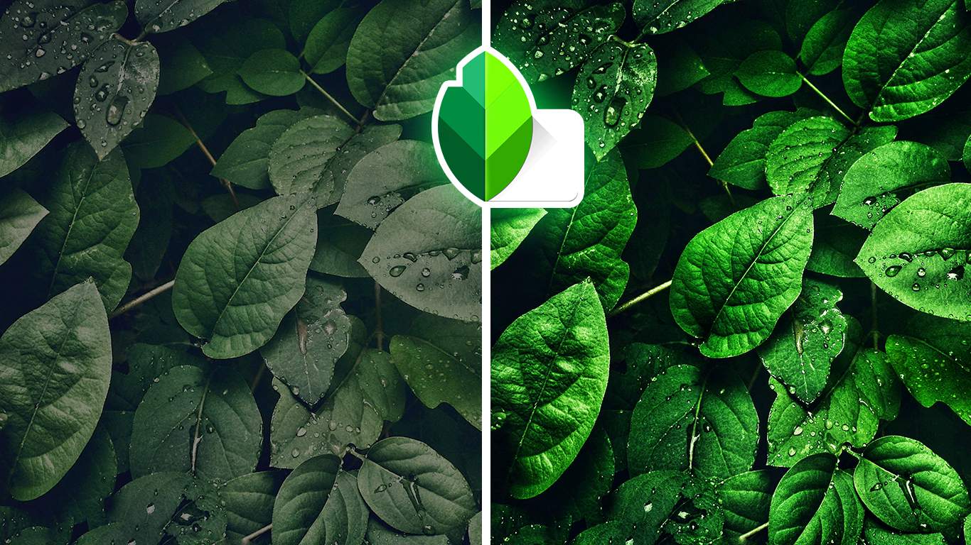 Snapseed QR Code Green